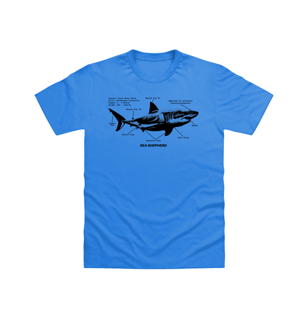 Flo Blue Printed T-shirt Front